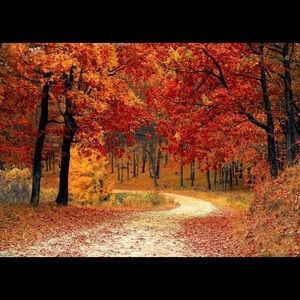 Meet your Posher, Mckendal